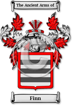 Finn Family Crest Download (jpg) Legacy Series - 150 DPI