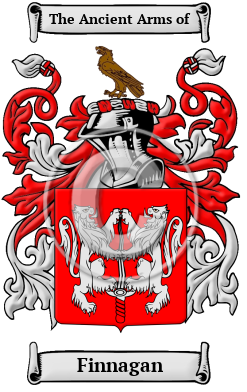 Finnagan Family Crest/Coat of Arms