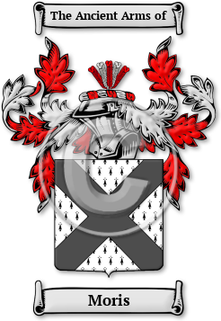 Moris Family Crest Download (jpg) Legacy Series - 150 DPI