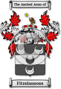 Fitzsimmons Family Crest Download (jpg) Legacy Series - 150 DPI