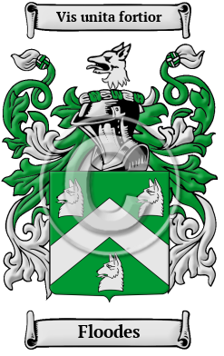 Floodes Family Crest/Coat of Arms