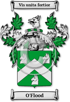 O'Flood Family Crest Download (JPG) Legacy Series - 600 DPI
