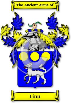 Linn Family Crest Download (JPG) Legacy Series - 600 DPI