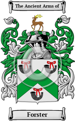 Forster Family Crest/Coat of Arms