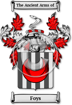 Foys Family Crest Download (jpg) Legacy Series - 150 DPI