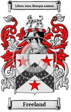 Freeland Family Crest/Coat of Arms