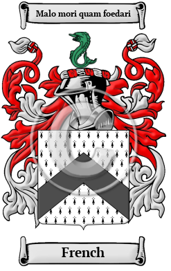 French Name Meaning, Family History, Family Crest & Coats of Arms