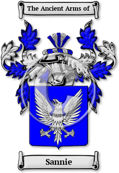 Sannie Family Crest Download (jpg) Legacy Series - 150 DPI