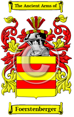 Foerstenberger Family Crest/Coat of Arms