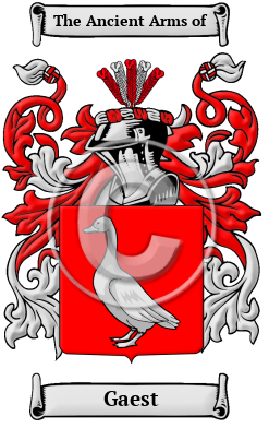 Gaest Family Crest/Coat of Arms