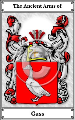 Gass Family Crest Download (JPG)  Book Plated - 150 DPI