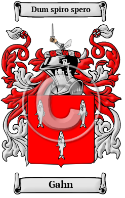 Gahn Family Crest/Coat of Arms