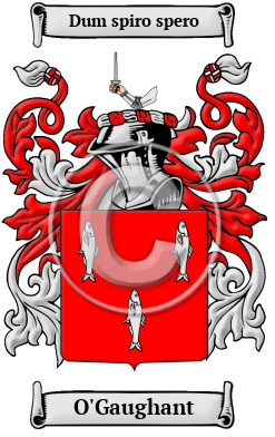 O'Gaughant Family Crest/Coat of Arms