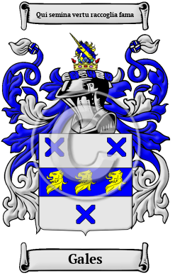Gales Family Crest/Coat of Arms