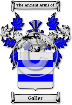 Galler Family Crest Download (jpg) Legacy Series - 150 DPI