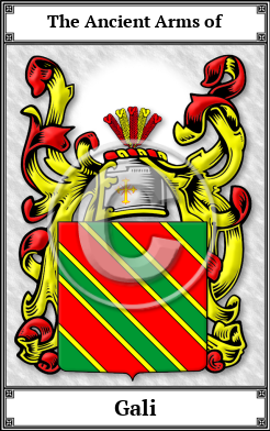 Gali Family Crest Download (JPG)  Book Plated - 150 DPI