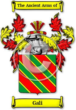 Gali Family Crest Download (jpg) Legacy Series - 150 DPI