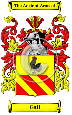 Gall Family Crest/Coat of Arms