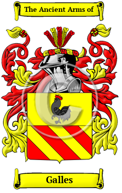 Galles Family Crest/Coat of Arms