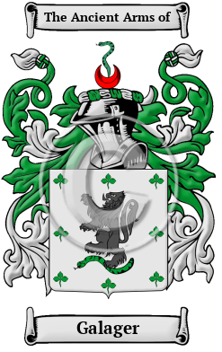 Galager Family Crest/Coat of Arms