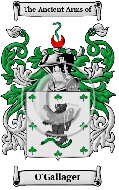 O'Gallager Family Crest/Coat of Arms