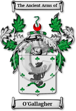 O'Gallagher Family Crest Download (jpg) Legacy Series - 150 DPI