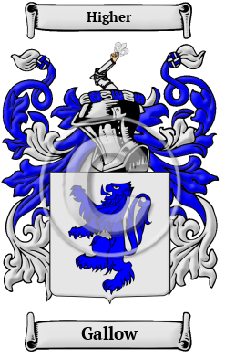 Gallow Family Crest/Coat of Arms