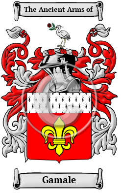 Gamale Family Crest/Coat of Arms