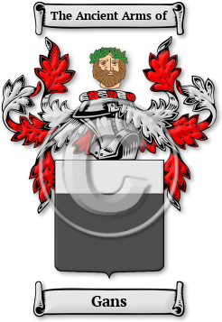 Gans Family Crest Download (jpg) Legacy Series - 150 DPI