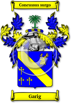 Garig Family Crest Download (jpg) Legacy Series - 150 DPI