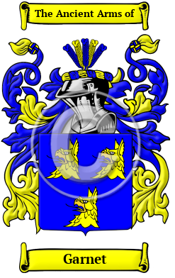 Garnet Family Crest/Coat of Arms