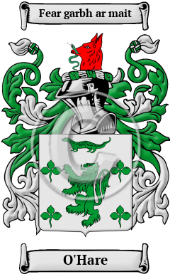 O'Hare Family Crest/Coat of Arms