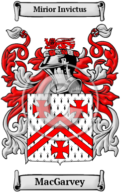 MacGarvey Family Crest/Coat of Arms