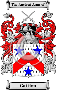 Gattion Family Crest/Coat of Arms
