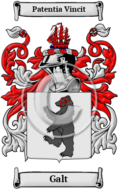 Galt Family Crest/Coat of Arms