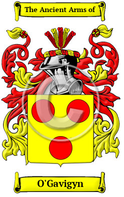 O'Gavigyn Family Crest/Coat of Arms
