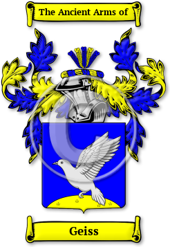 Geiss Family Crest Download (jpg) Legacy Series - 150 DPI