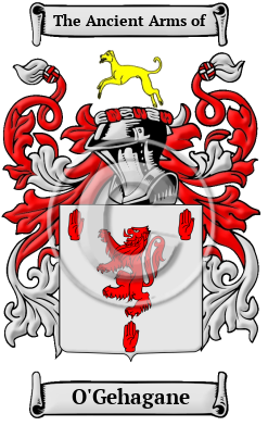 O'Gehagane Family Crest/Coat of Arms