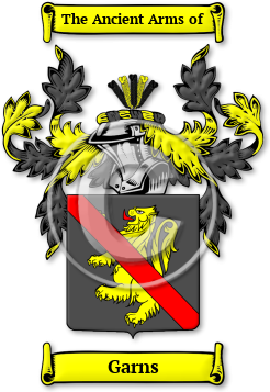Garns Family Crest Download (JPG) Legacy Series - 600 DPI