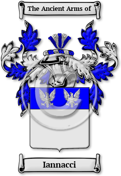 Iannacci Family Crest Download (jpg) Legacy Series - 150 DPI