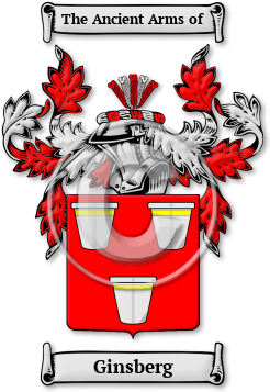 Ginsberg Family Crest Download (jpg) Legacy Series - 150 DPI