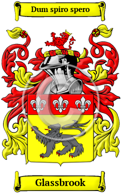Glassbrook Family Crest/Coat of Arms