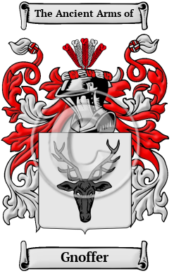 Gnoffer Family Crest/Coat of Arms