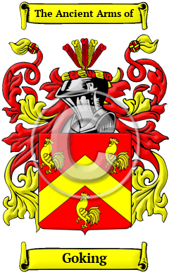 Goking Family Crest/Coat of Arms