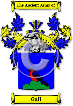 Gull Family Crest Download (jpg) Legacy Series - 150 DPI