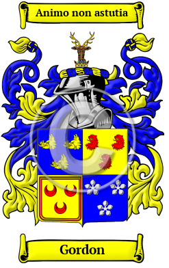 Gordon Family Crest/Coat of Arms