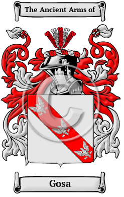 Gosa Family Crest/Coat of Arms