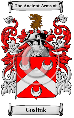 Goslink Family Crest/Coat of Arms
