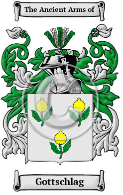 Gottschlag Family Crest/Coat of Arms