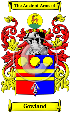 Gowland Family Crest/Coat of Arms